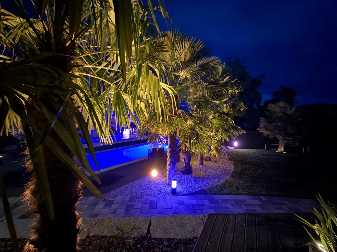 Beleuchteter Pool zwischen Palmen am Abend