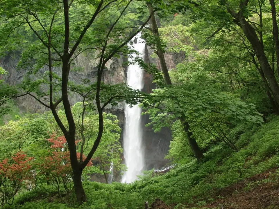 Wasserfall in einem üppig grünen Wald in Japan