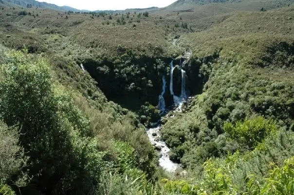 Wasserfall in einer grünen Hügellandschaft Neuseelands